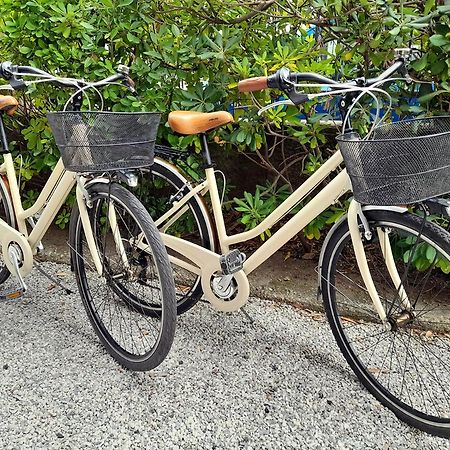 Apt Luminoso, Spazioso Con Aria Condiz E Bici Apartment Viareggio Exterior foto